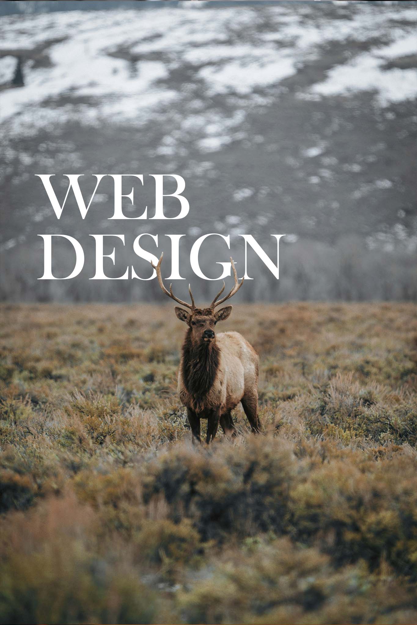 person making a contactless payment with a card