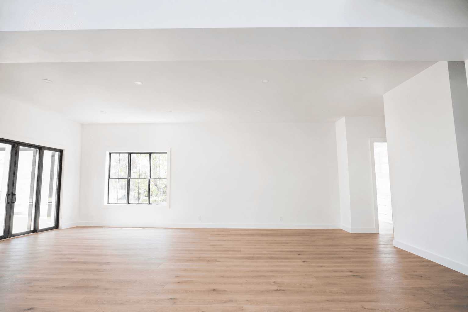 Unfinished basement