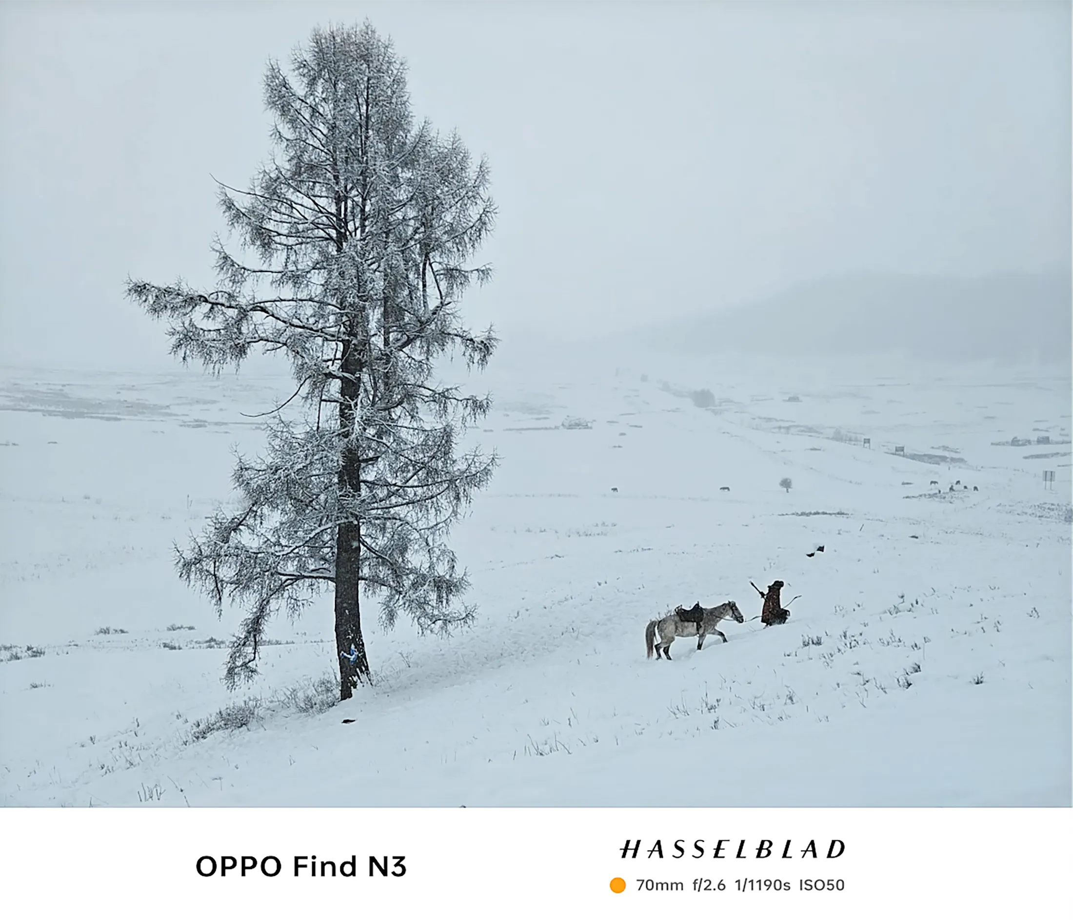 Wide landscape shot establishing the scale and isolation of the region featured in the film narrative.