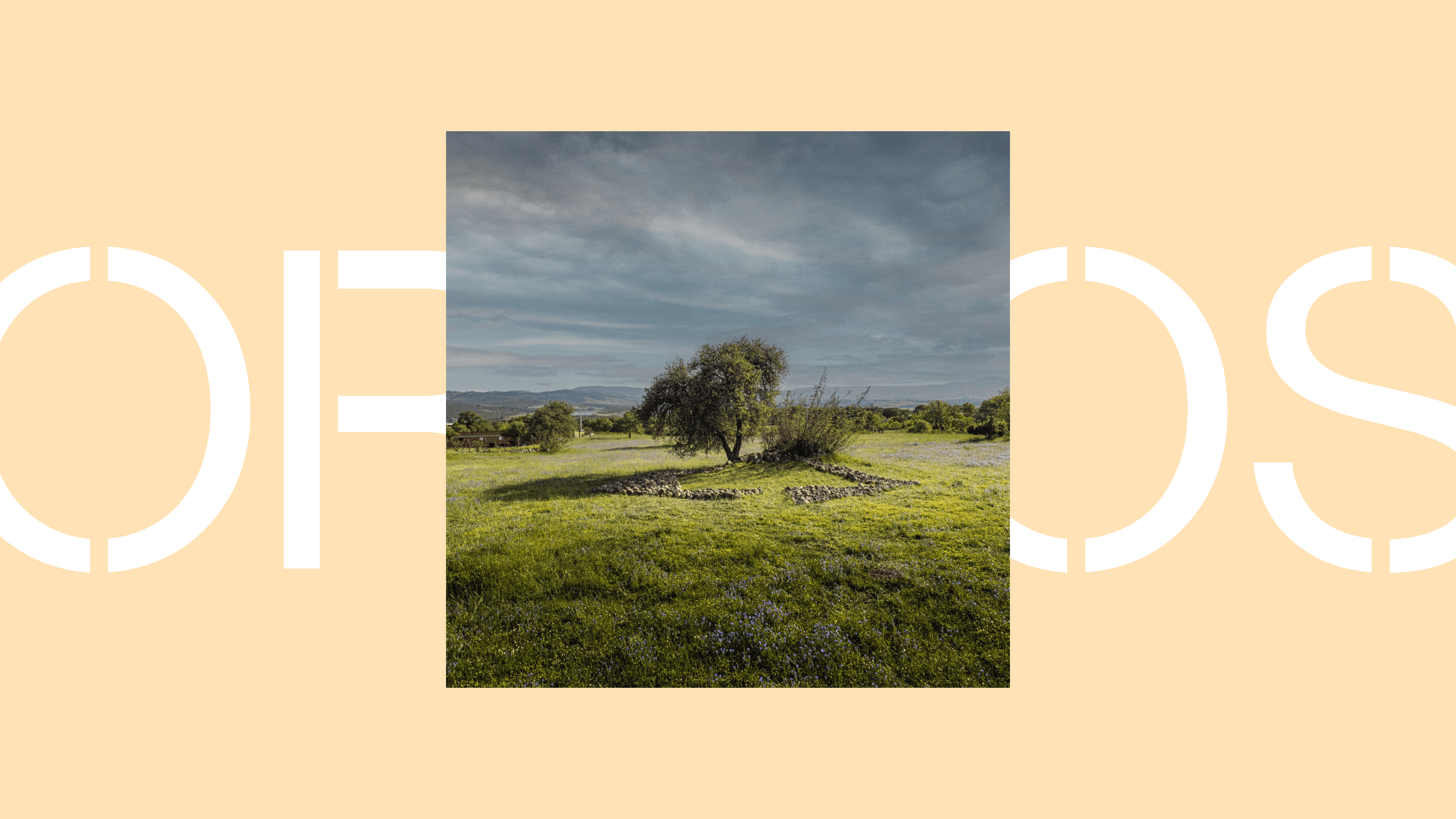 Large Project Gallery Image #3