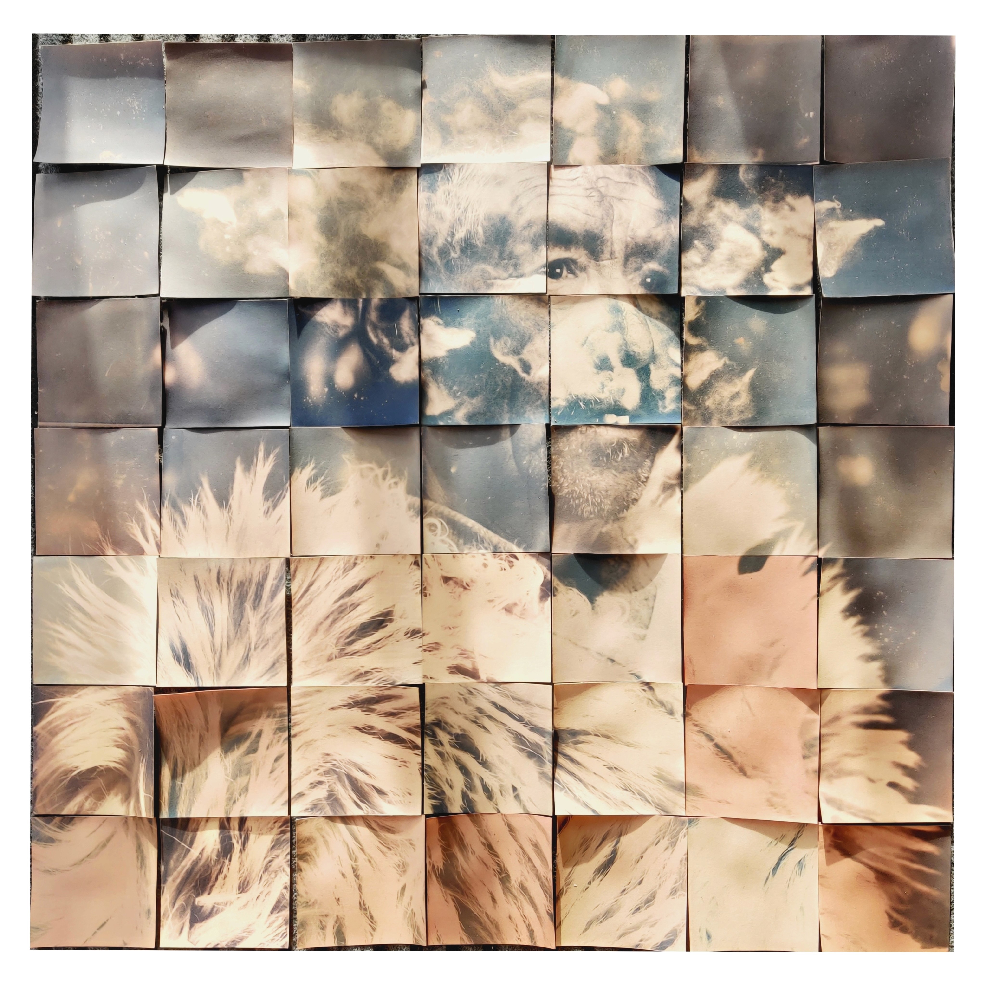 herd of sheep on road painting