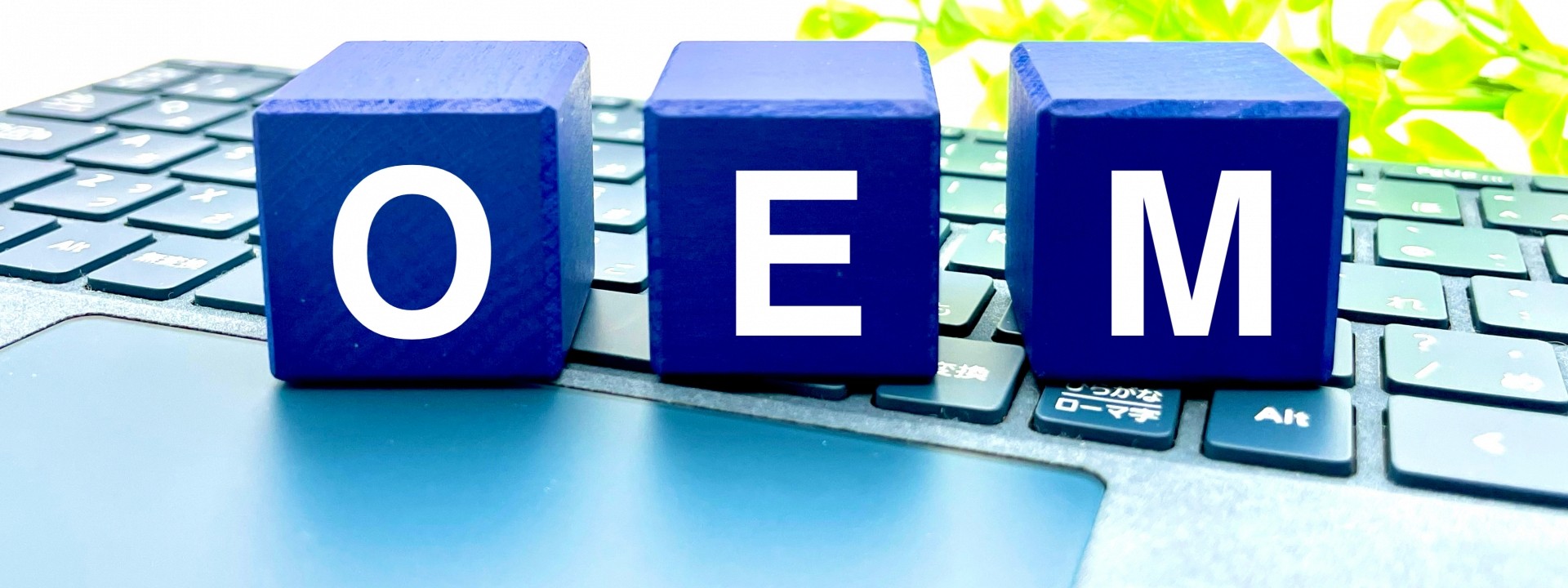 OEMと書かれたブロックの画像