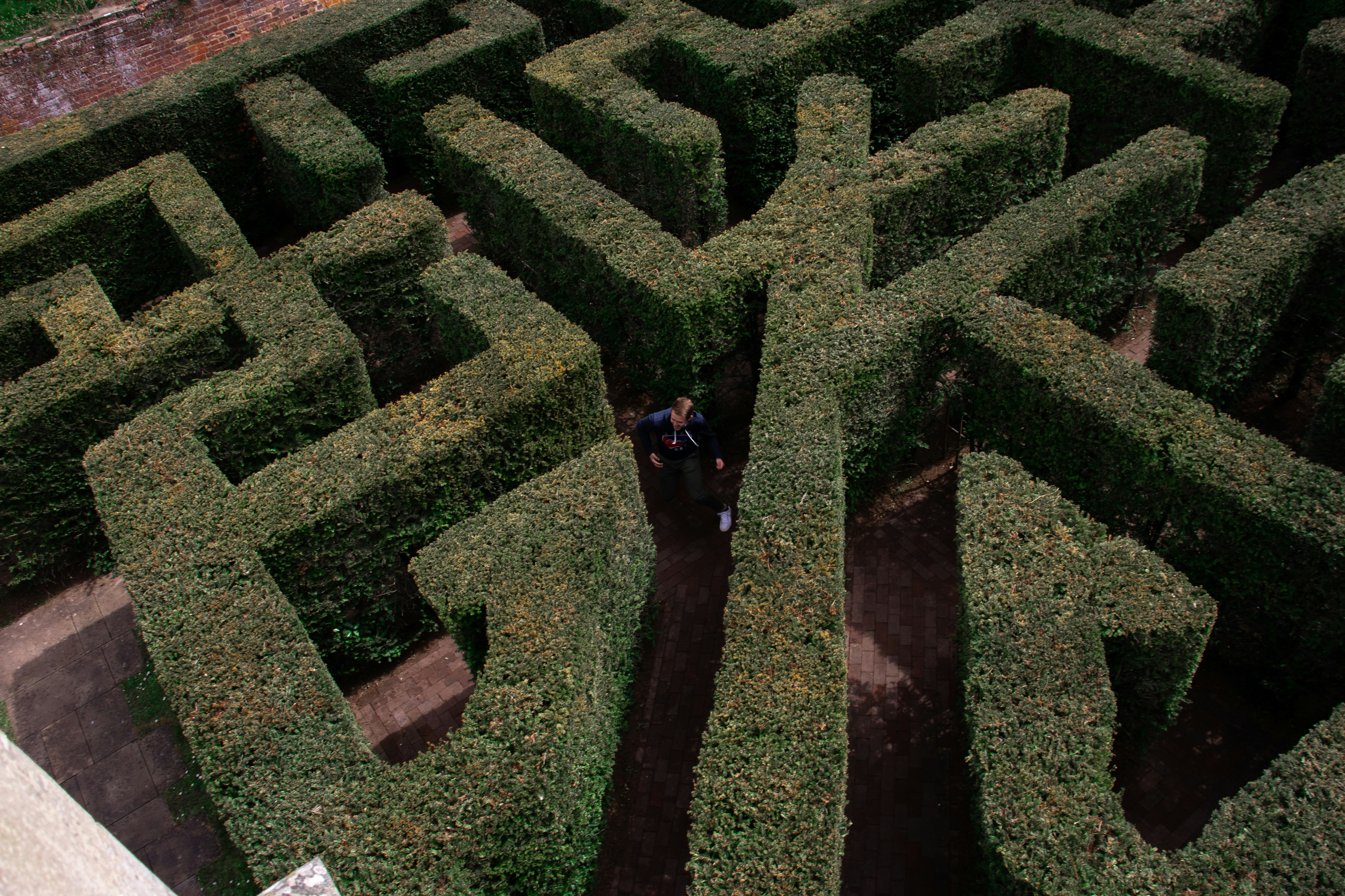 person in black jacket walking on green grass field