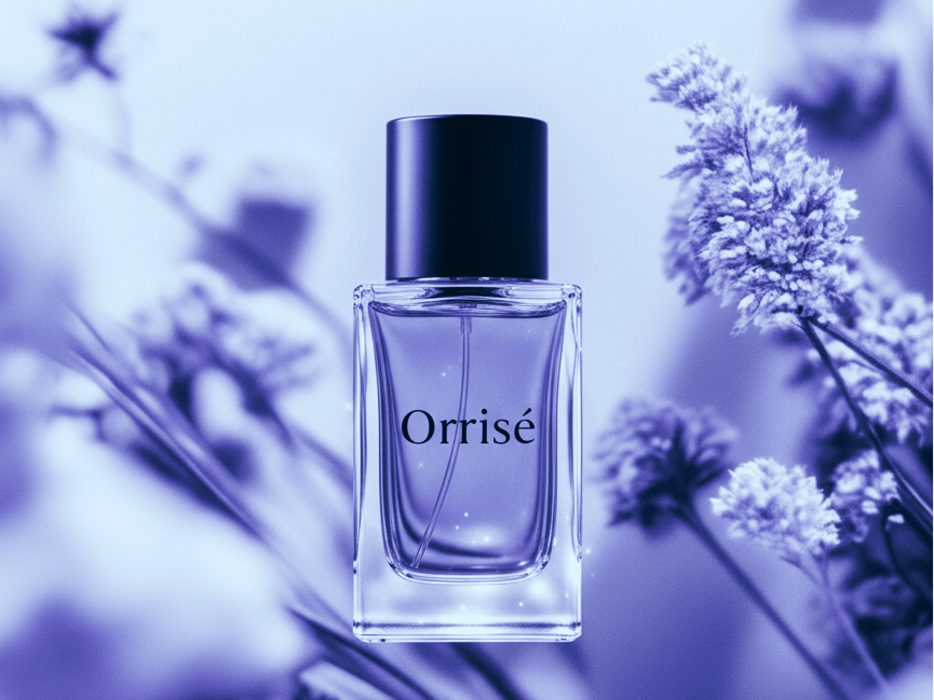 Minimalist perfume bottle labeled 'Orrisé' surrounded by soft-focus purple flowers.