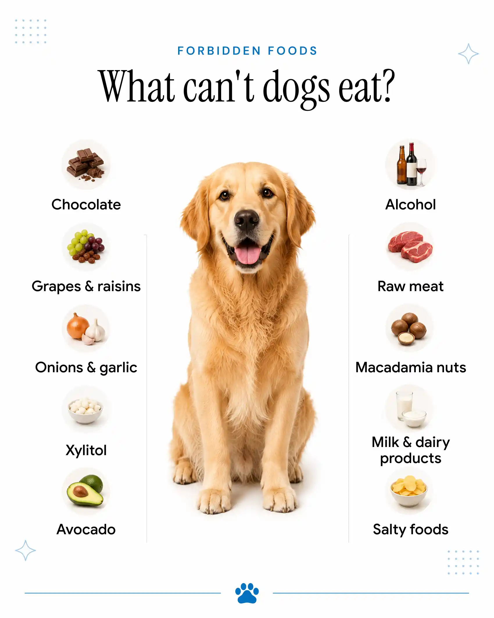 What Can't Dogs Eat?