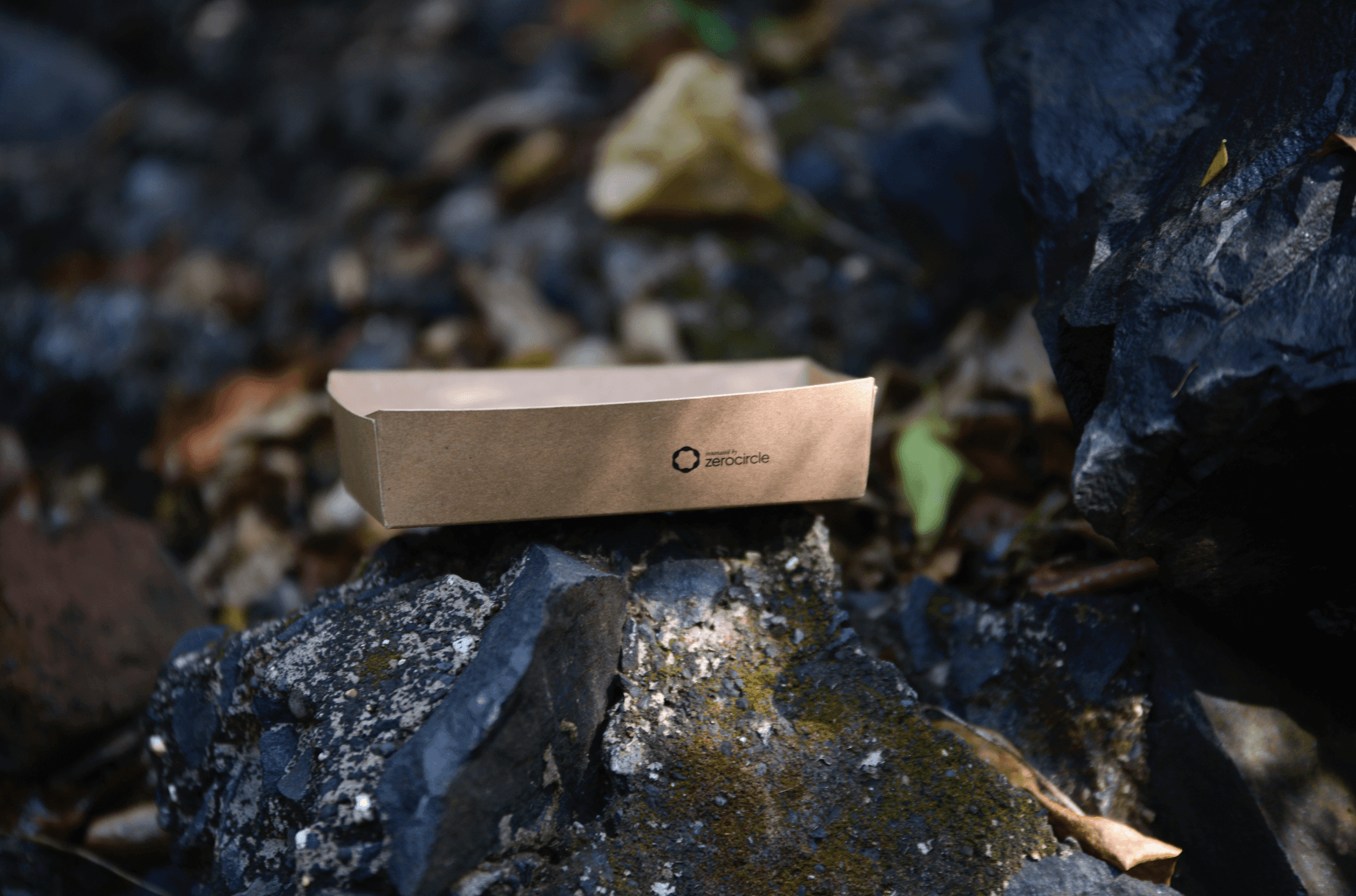 a close up of a green leaf with drops of water on it