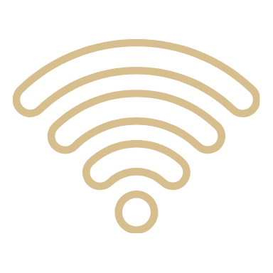 WLAN