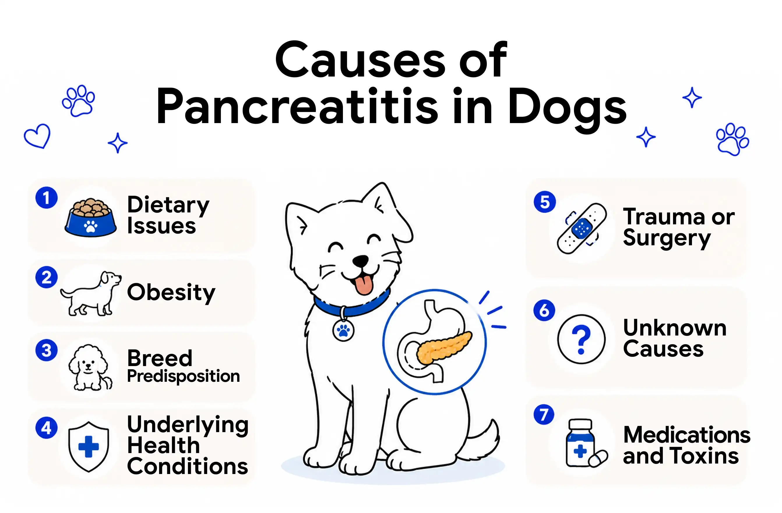 An infographic showing the causes of pancreatitis in dogs.