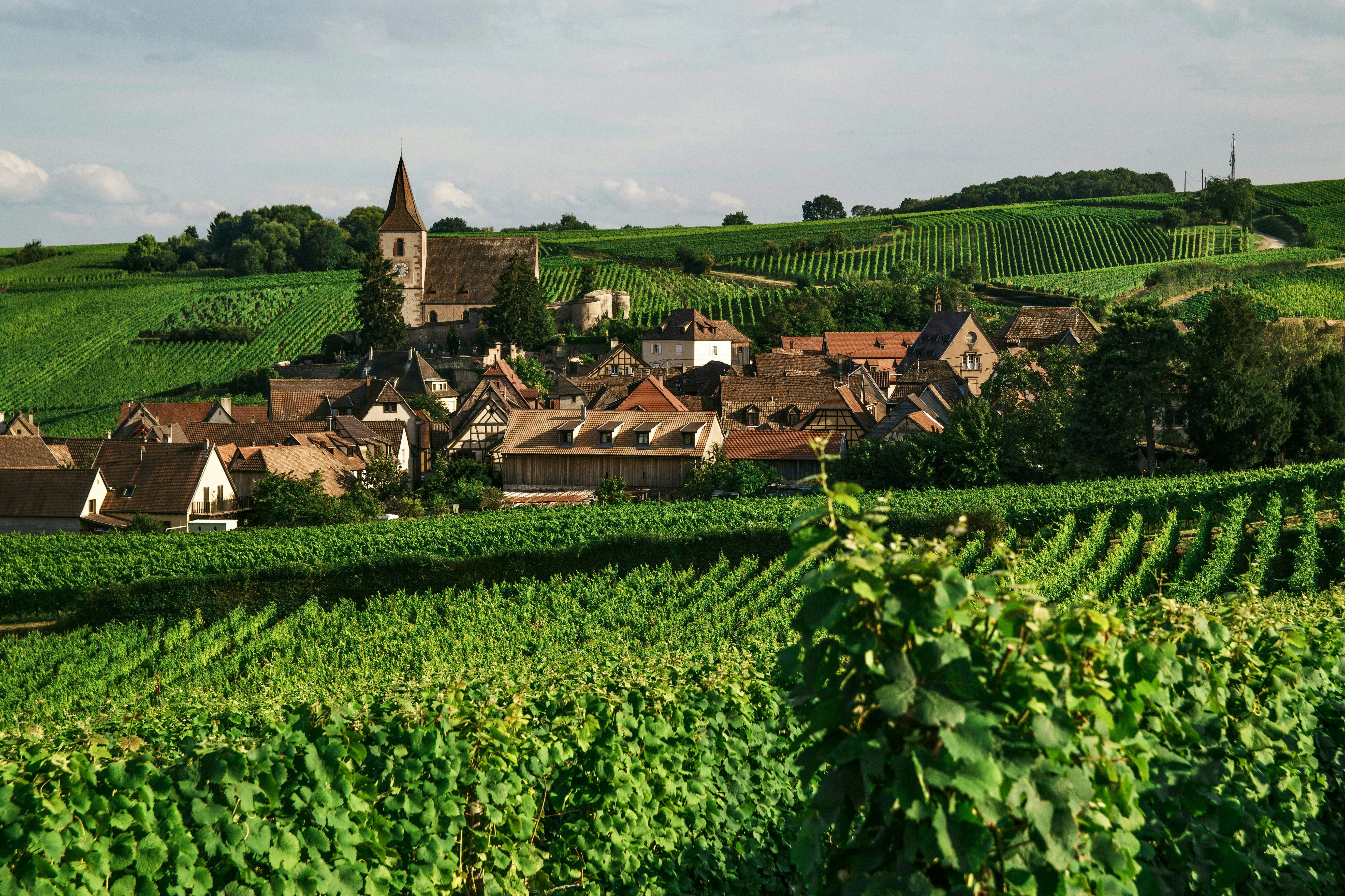 Village français entouré de vignes, avec clocher