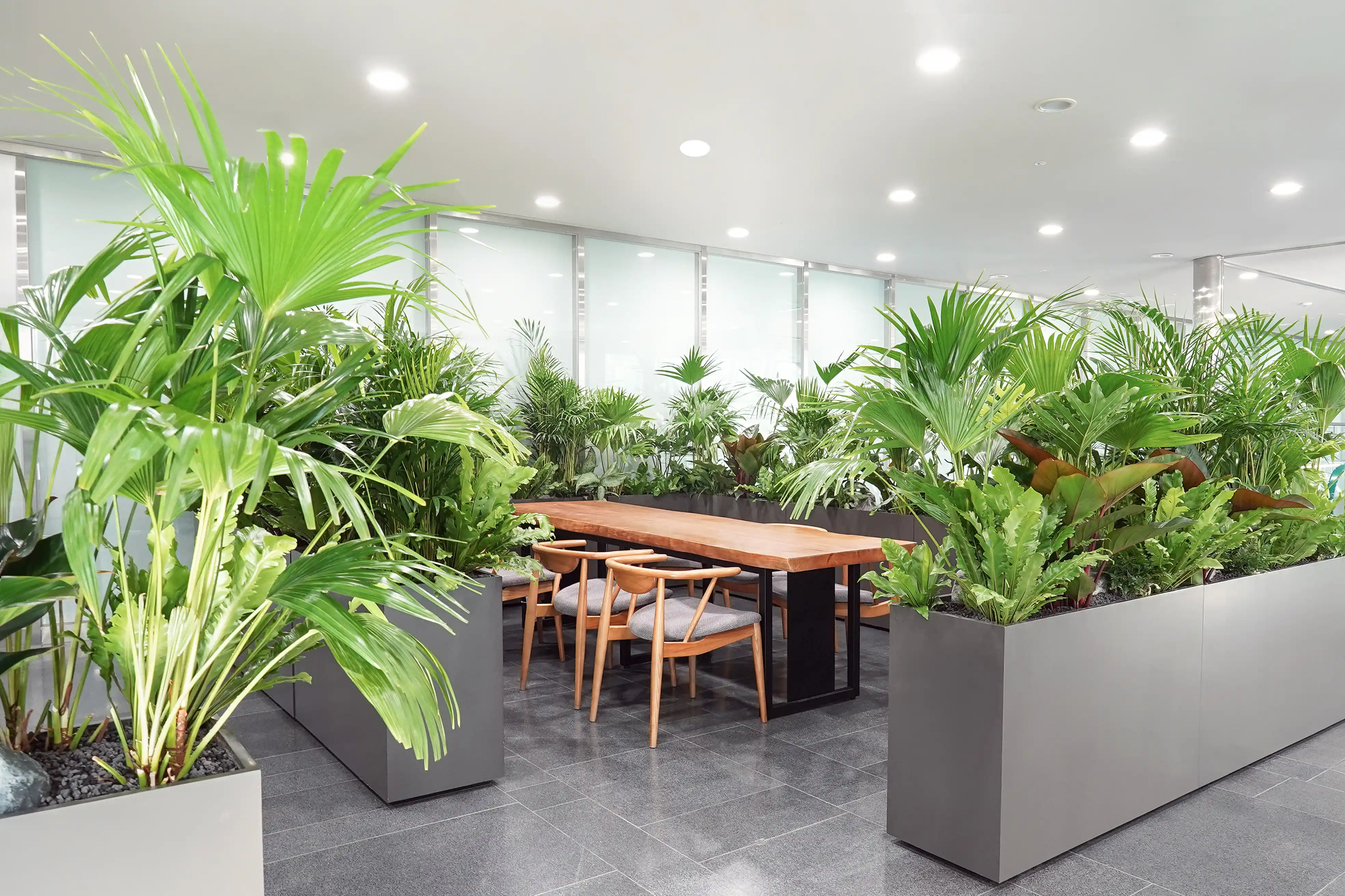 조경업체 에코피플이 시공한 실내조경