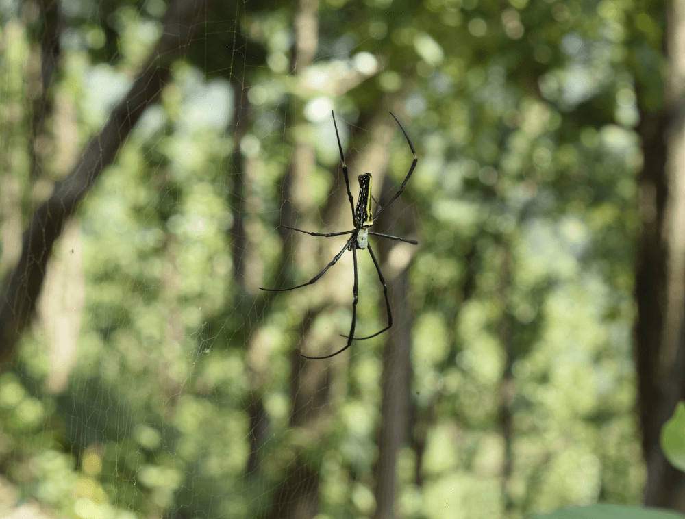 Example work of ui ux design