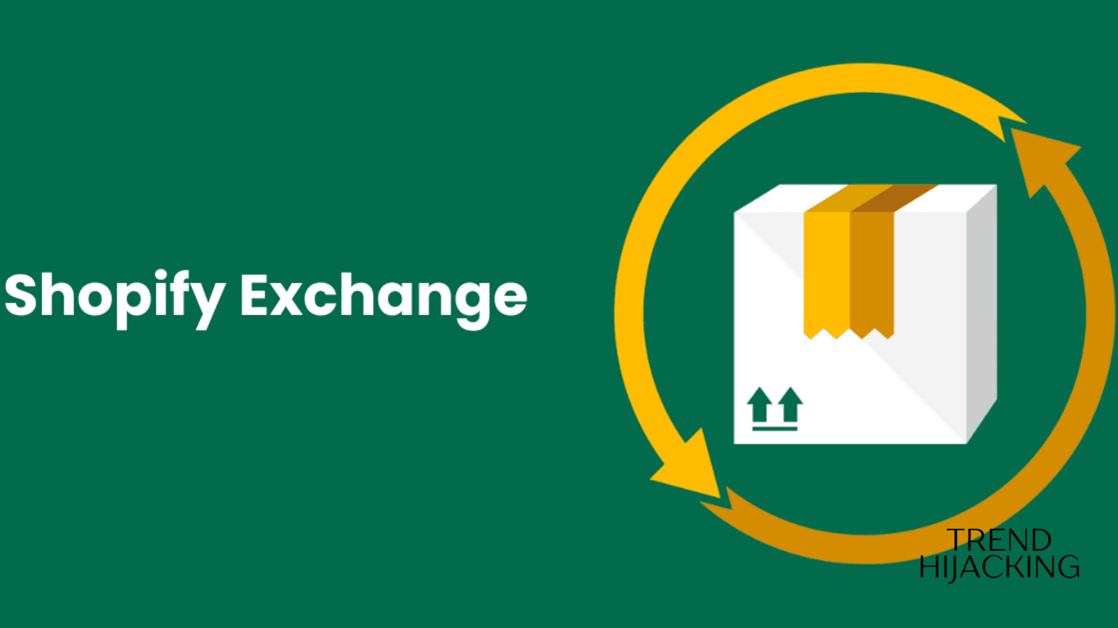 What are the alternatives to Shopify Exchange?