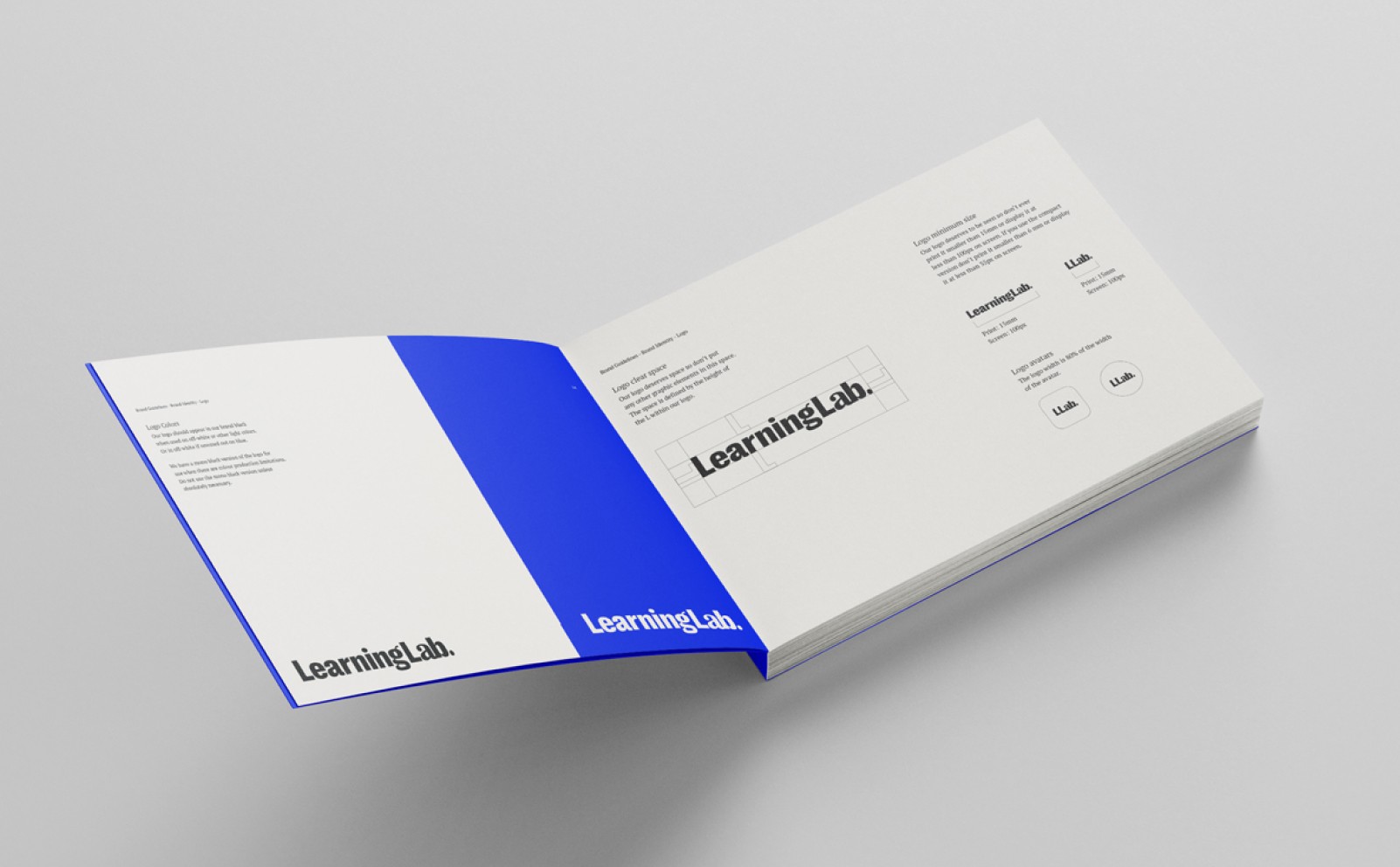 Branding book for advocacy organization for people with exceptionalities