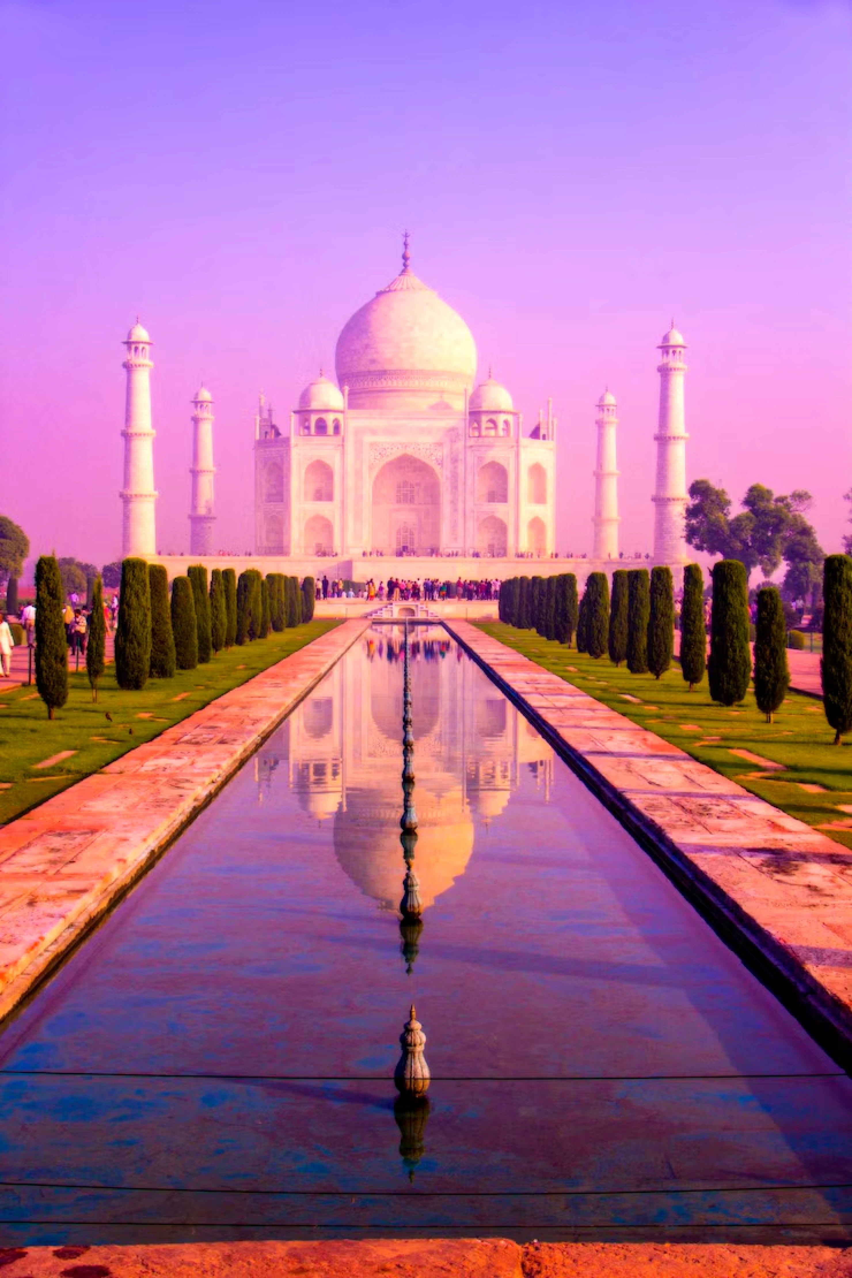 Tripwhiz_photo_04