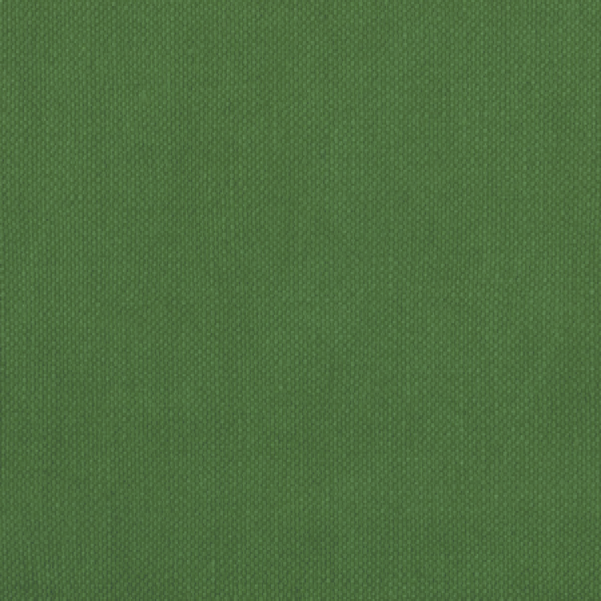 Textura tela verde