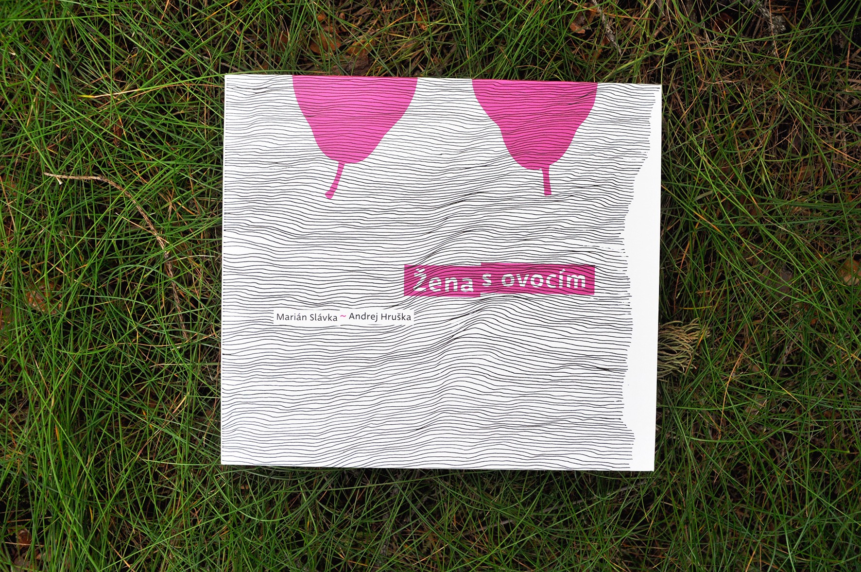 Photograph of the "Žena s ovocím" debut CD album by Marián Slávka & Andrej Hruška lying on green grass, featuring cover design by Tomáš Vrtich and typography set in the Deva Ideal typeface.