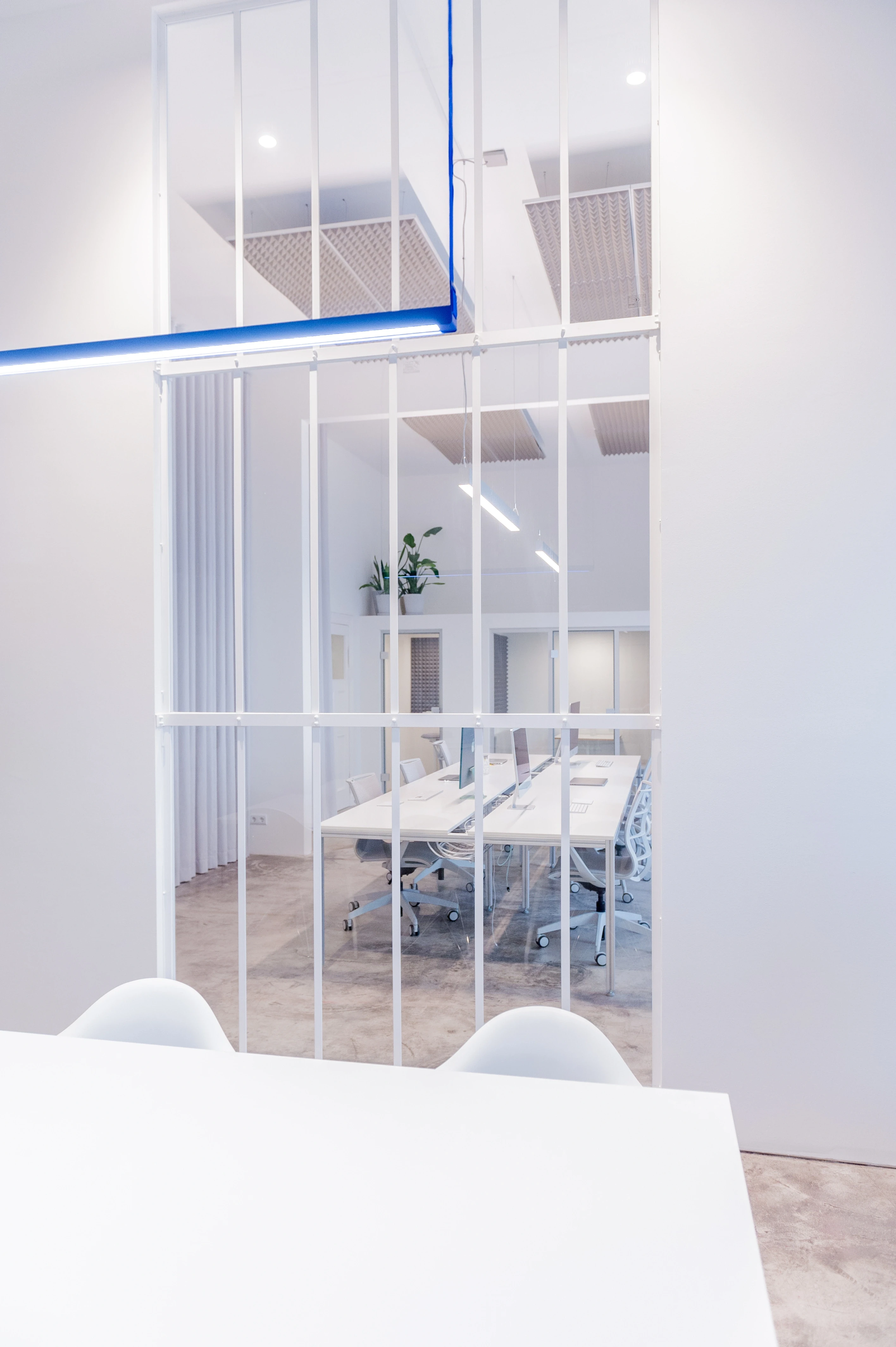 View through a white-framed glazed partition at BATTLE ROYAL into the white open-plan office with desks and iMacs, with a cobalt-blue light bar running along the ceiling.