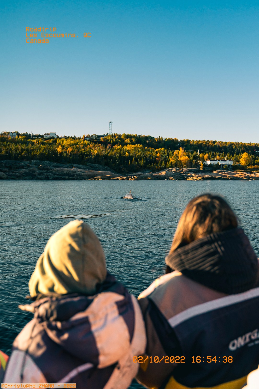 Passagers admirant une baleine au loin, Les Escoumins
