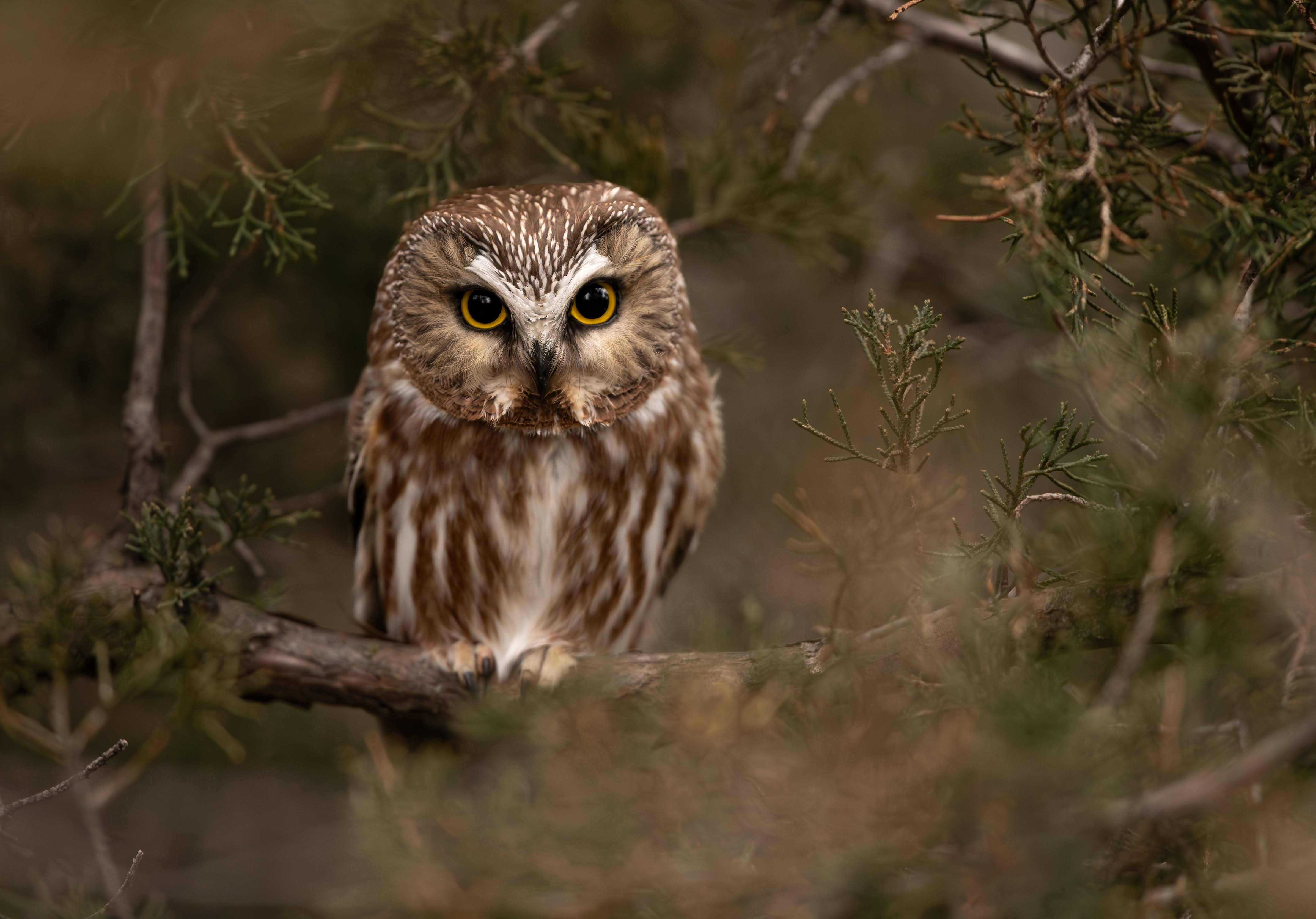 Photo of Irene in a neon scene