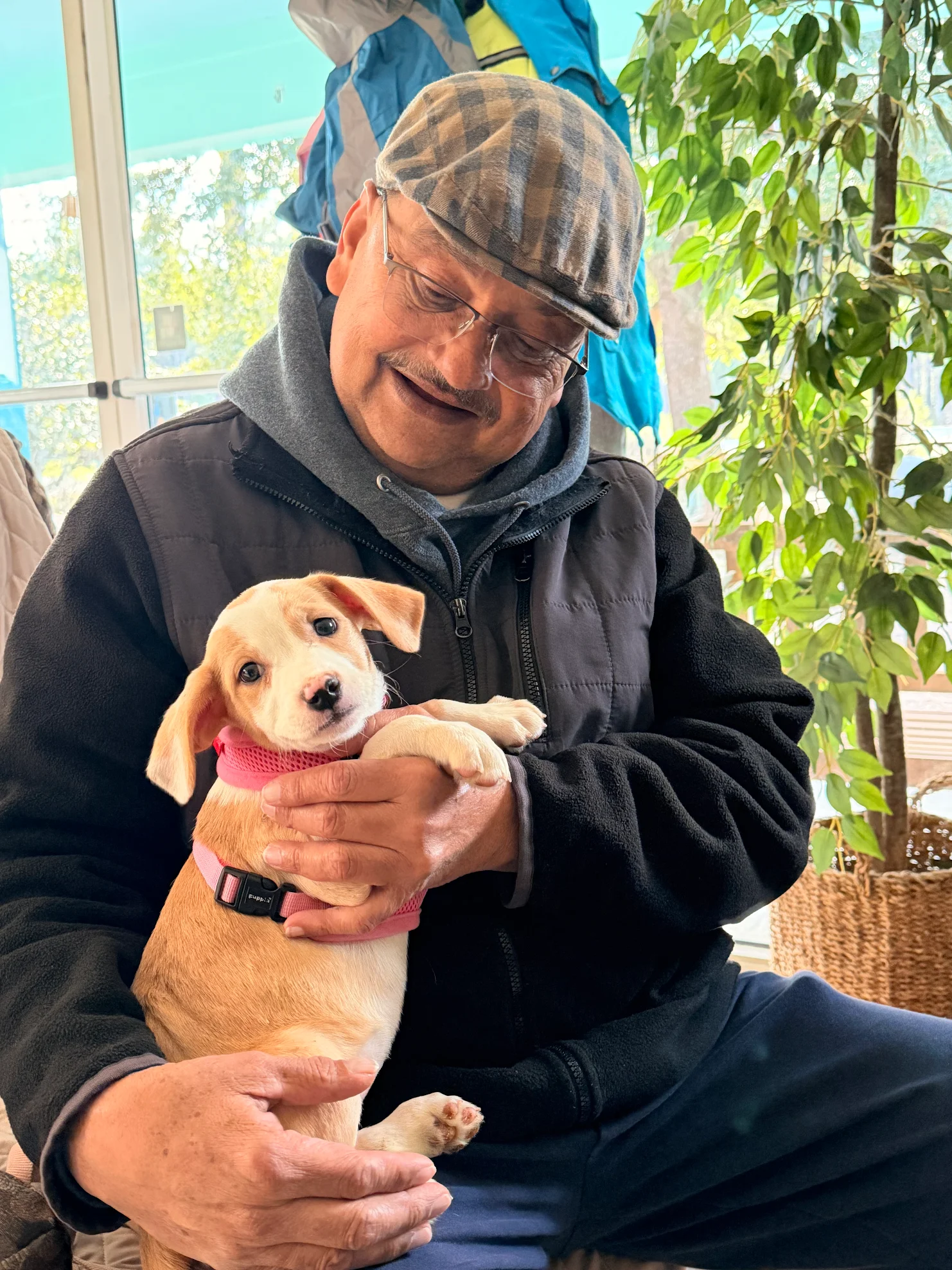 A person sits indoors, smiling while cuddling a small, light brown puppy in their arms. Bright plants in the background.