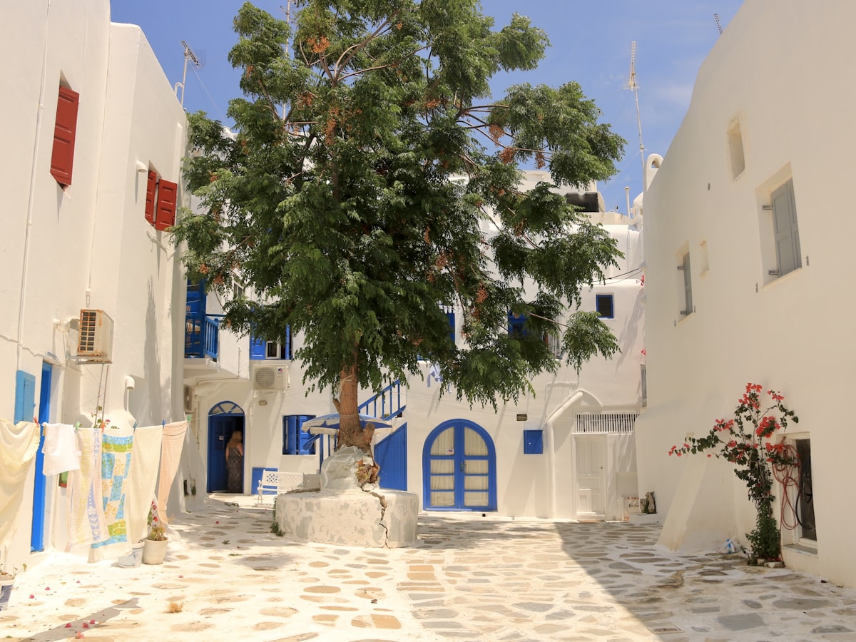Cobblestone Mykonos lane lined with white-washed walls and a single tree in afternoon light