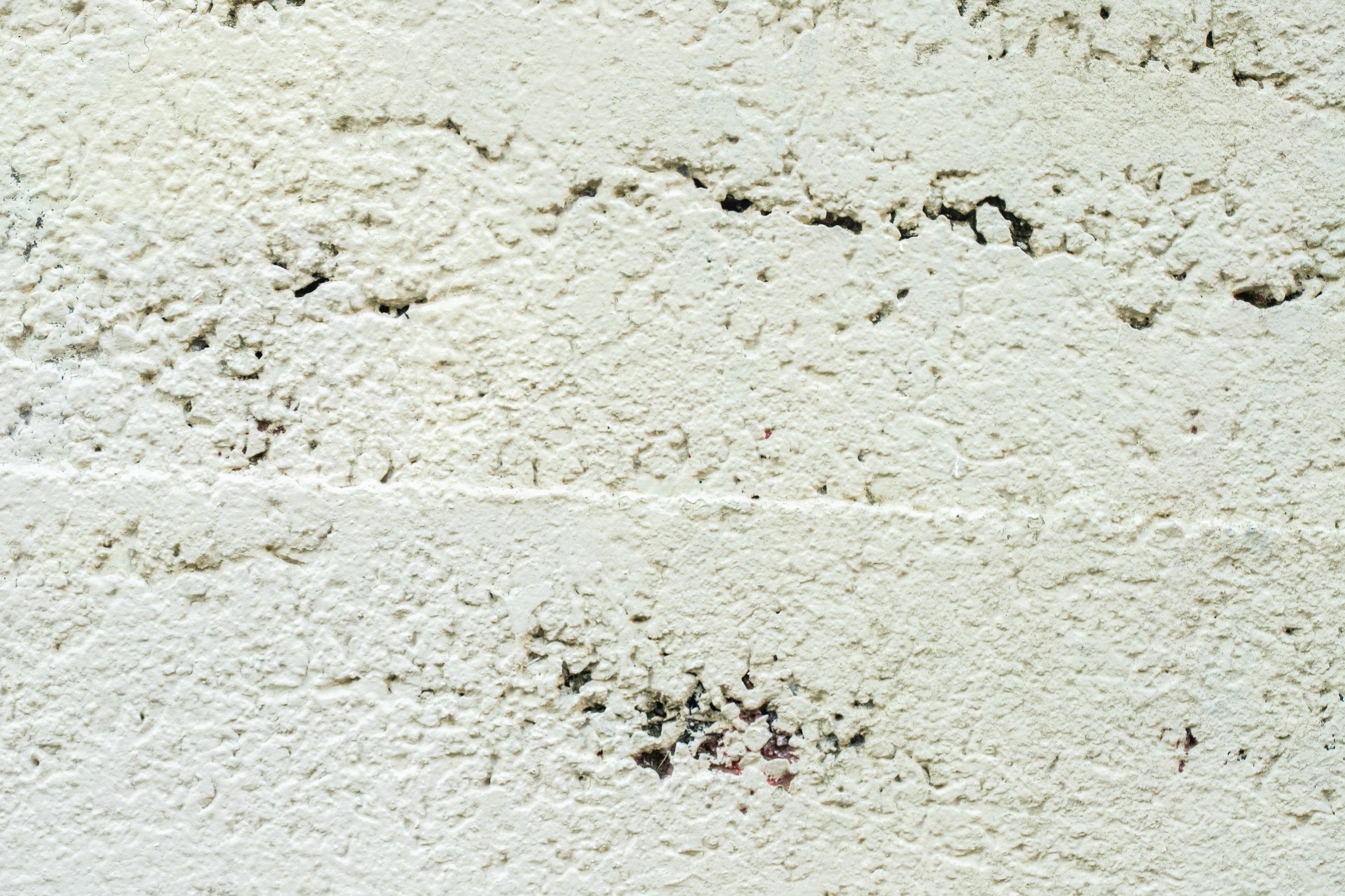 The Ultimate Guide to Mold Prevention in Renton—Don't Miss Out!