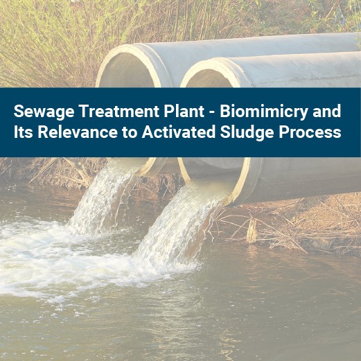 Sewage Treatment Plant - Biomimicry and Its Relevance to Activated Sludge Process