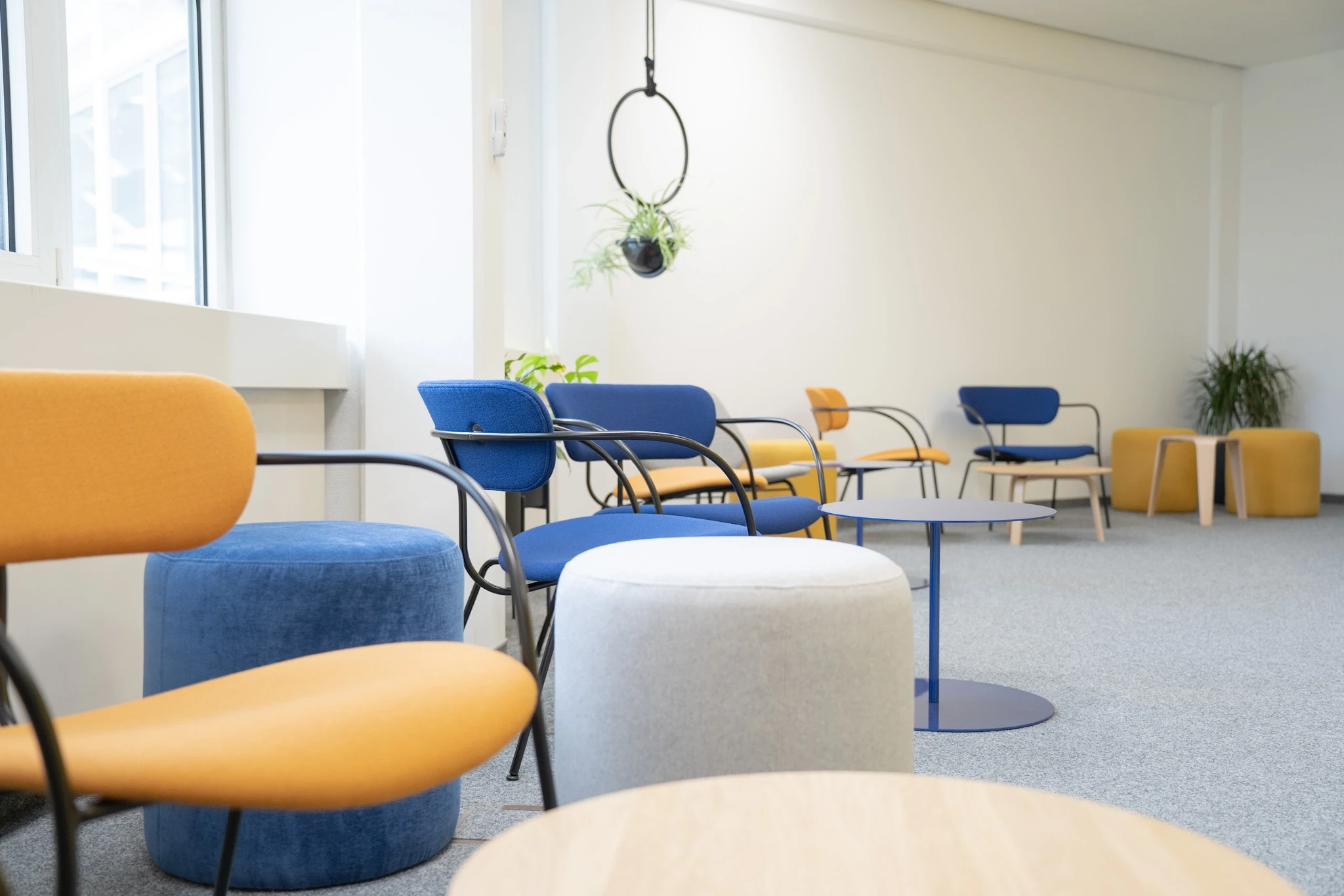 Lounge at NFON with mustard-yellow and blue armchairs with black tubular frames, blue and grey velvet poufs, round blue side tables and a hanging ring planter by the window.