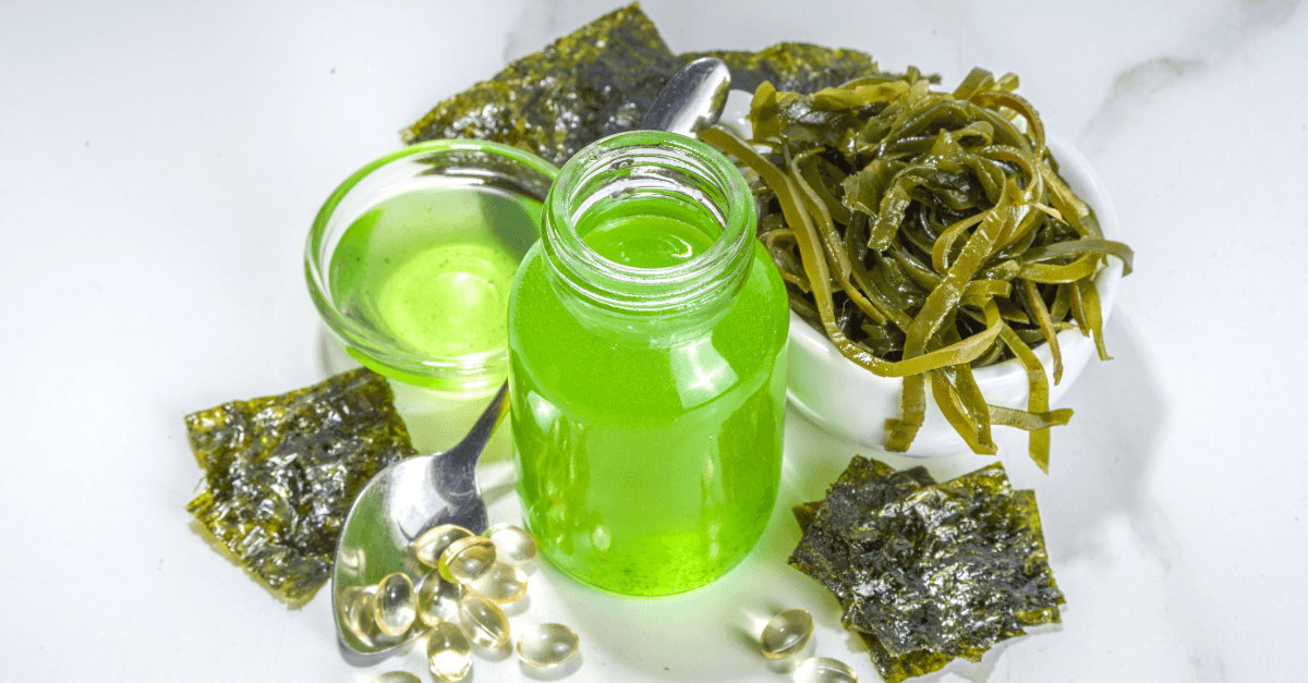 Algae Oil Supplement for omega-3