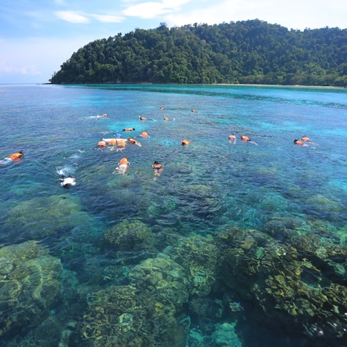 潛水發現水下的天堂