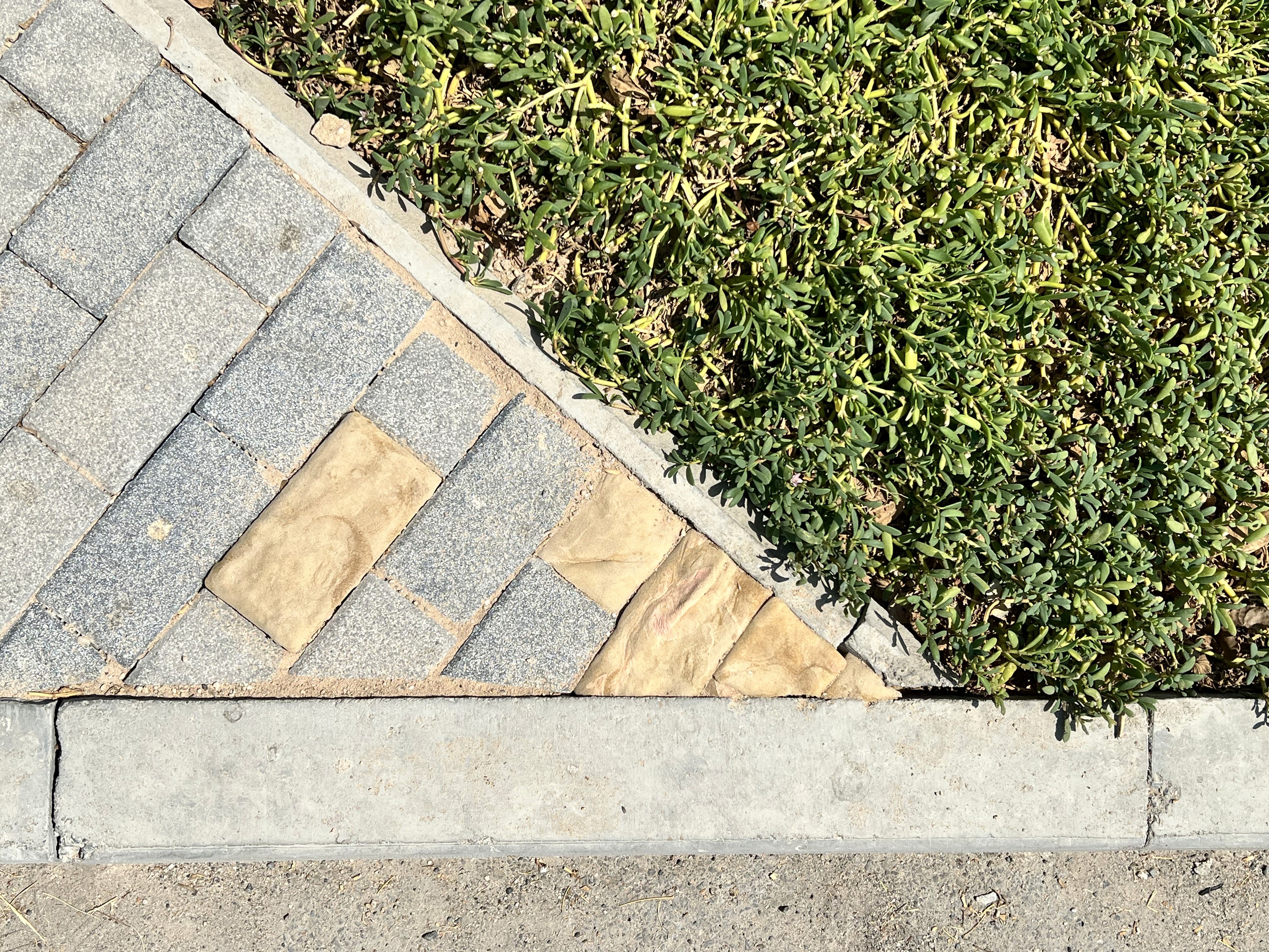 Third Skin, Hana Al-Saadi, Doha, Qatar, uncommissioned, 2025