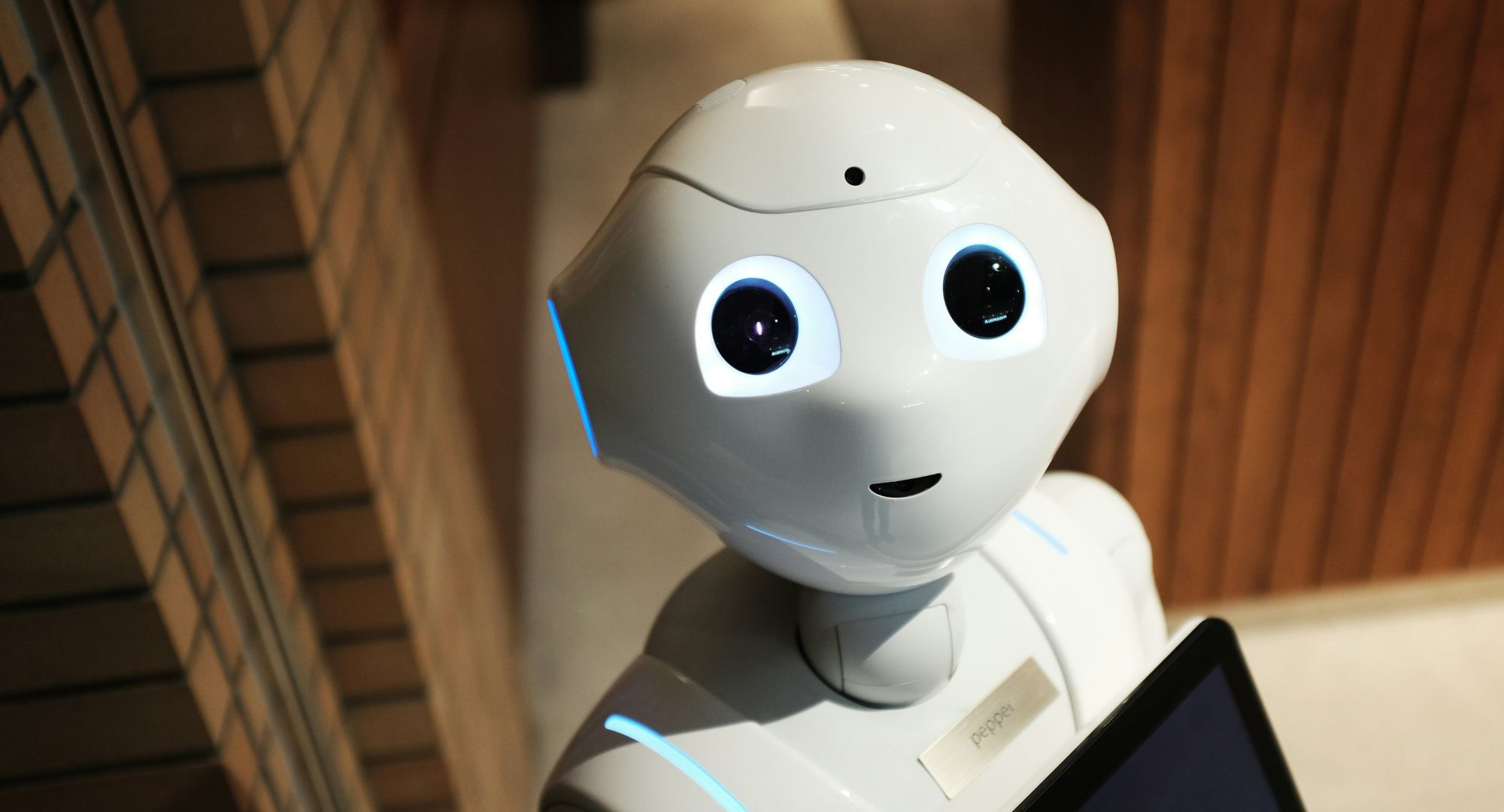 foto de um robô com olhos grandes e detalhes em azul olhando para a câmera