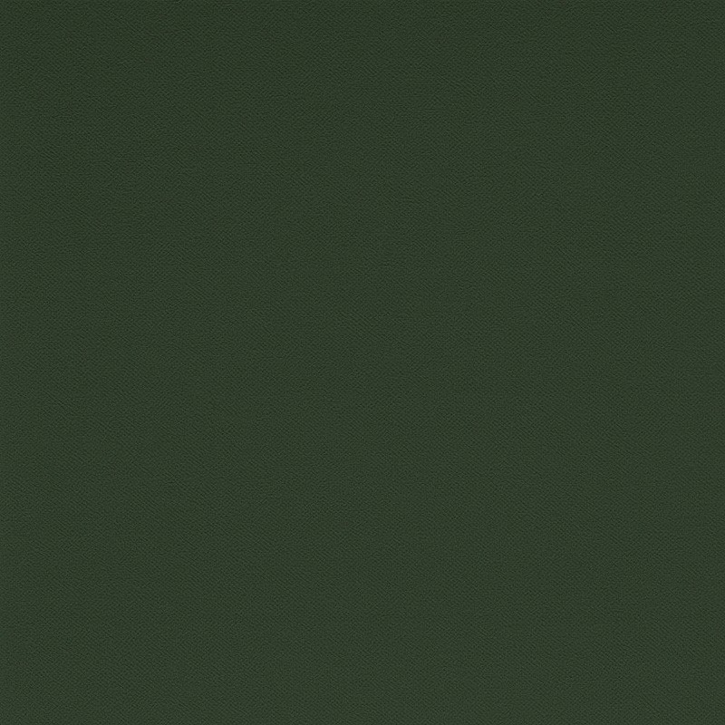 verde ral 8017