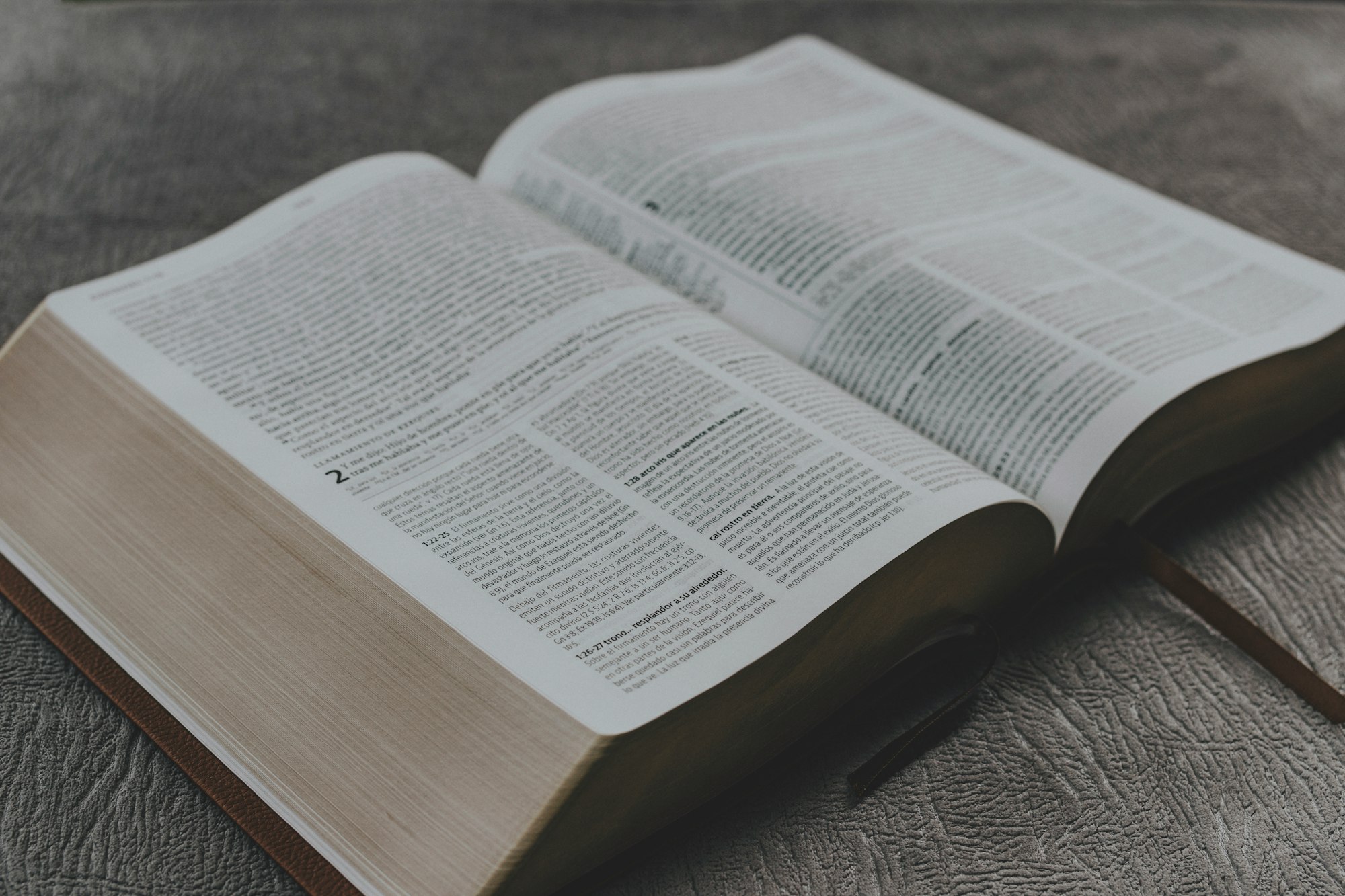 Mi palabra cumplirá mi propósito