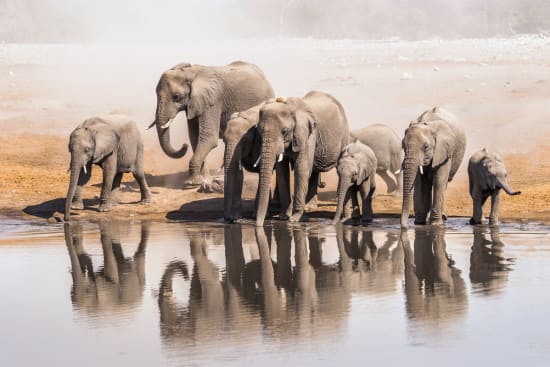 Etosha National Park