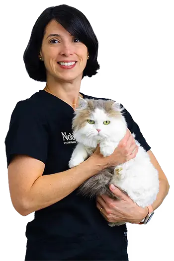 Dr. Leticia Maia: Veterinary Surgeon