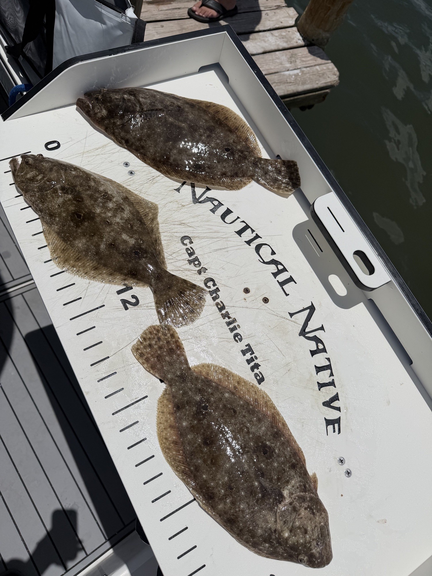 Two flounder laid on the Nautical Native measuring board after an inshore charter