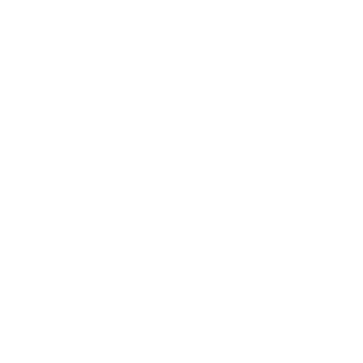 Logo LS Entretien Inc.