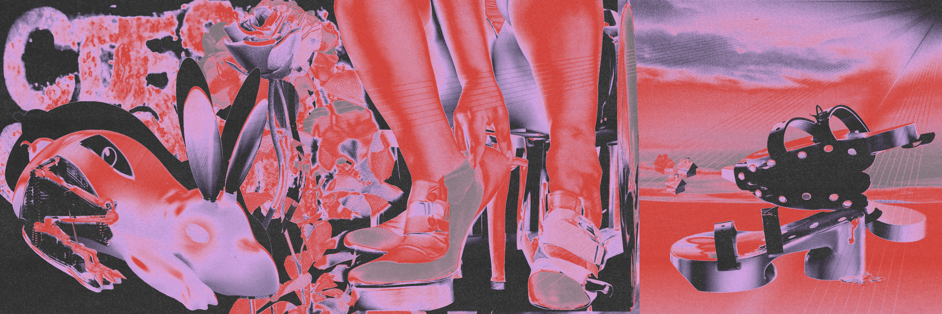 Illustrations image 4