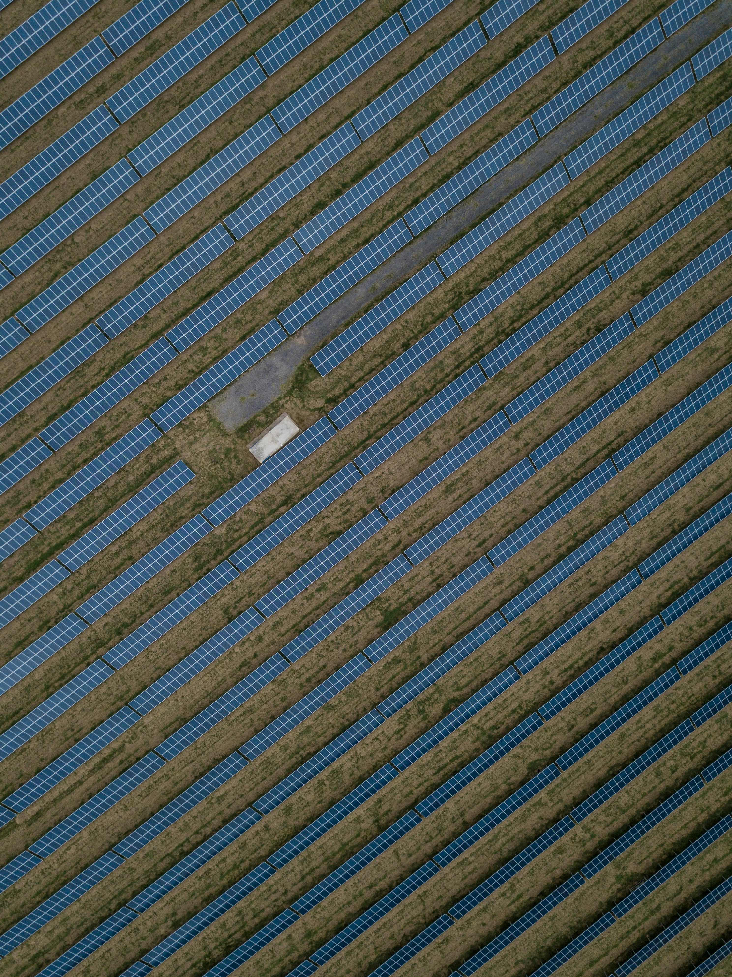 Aerial view of Solar Plans in a large solar farm 