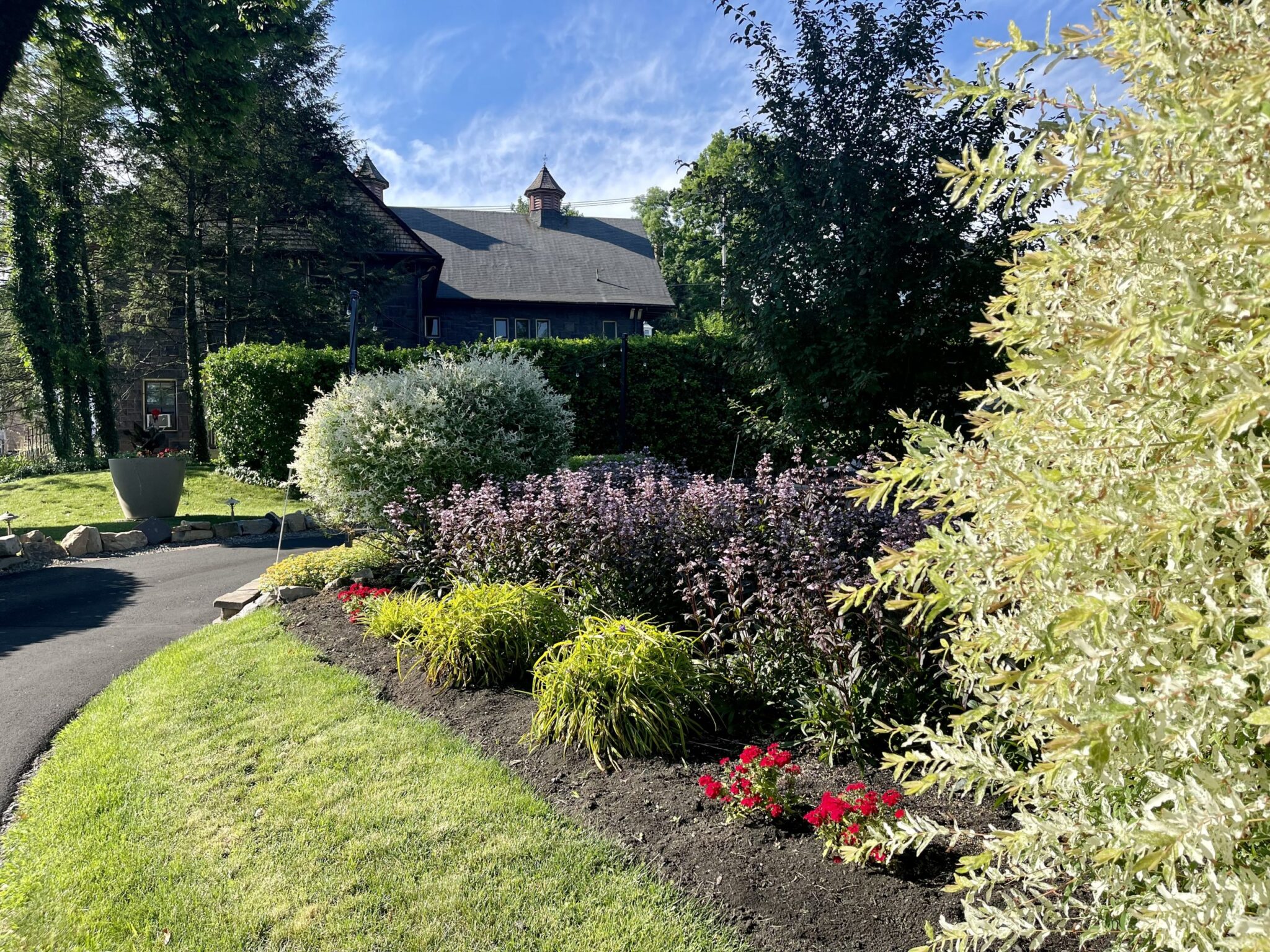 nfinity pool blending into the ocean view, minimalist sun loungers in soft neutral fabric, curved architecture