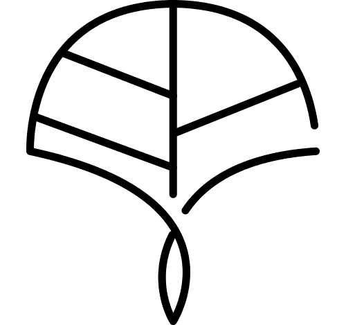 Icône feuille symbole de nature et bien-être