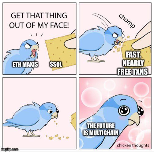 Bird