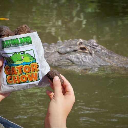 Пакет с „GATORLAND GATOR CHOW“, държан от ръце, с глава на алигатор на заден план.