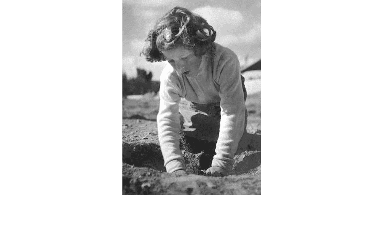 Girl Planting