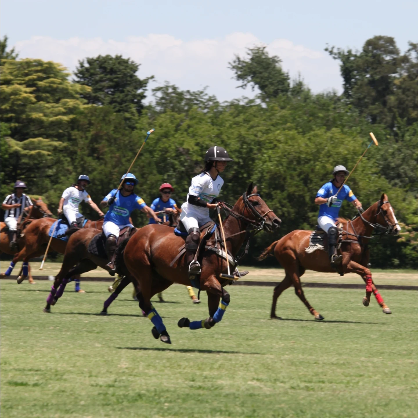 Close-up of a dark green leaf showing its textured surface and central vein against a muted background.