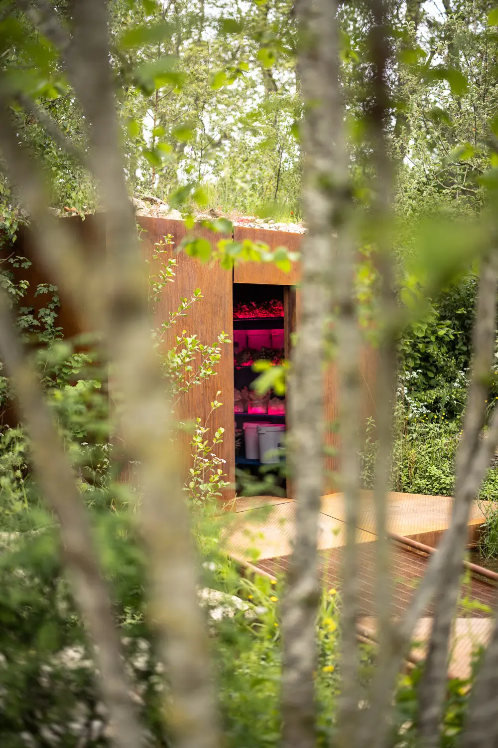 A rustic building partially hidden by trees, with a red door surrounded by lush greenery.