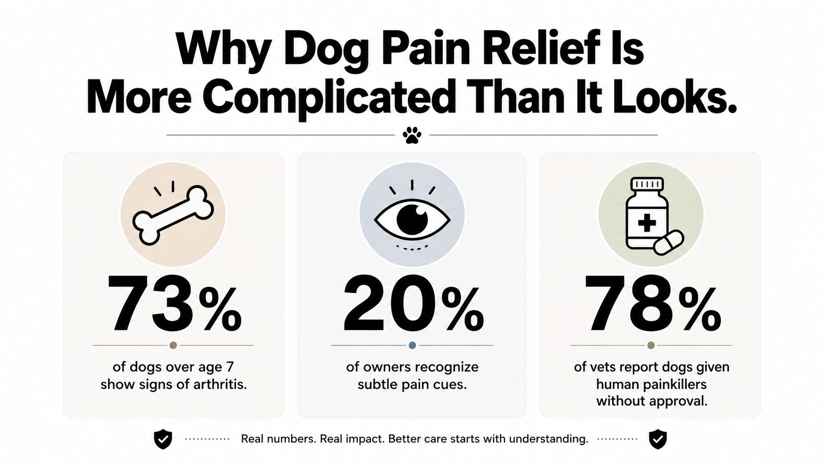 An infographic highlighting the complexities of managing dog pain through key statistics and cautionary medical warnings.