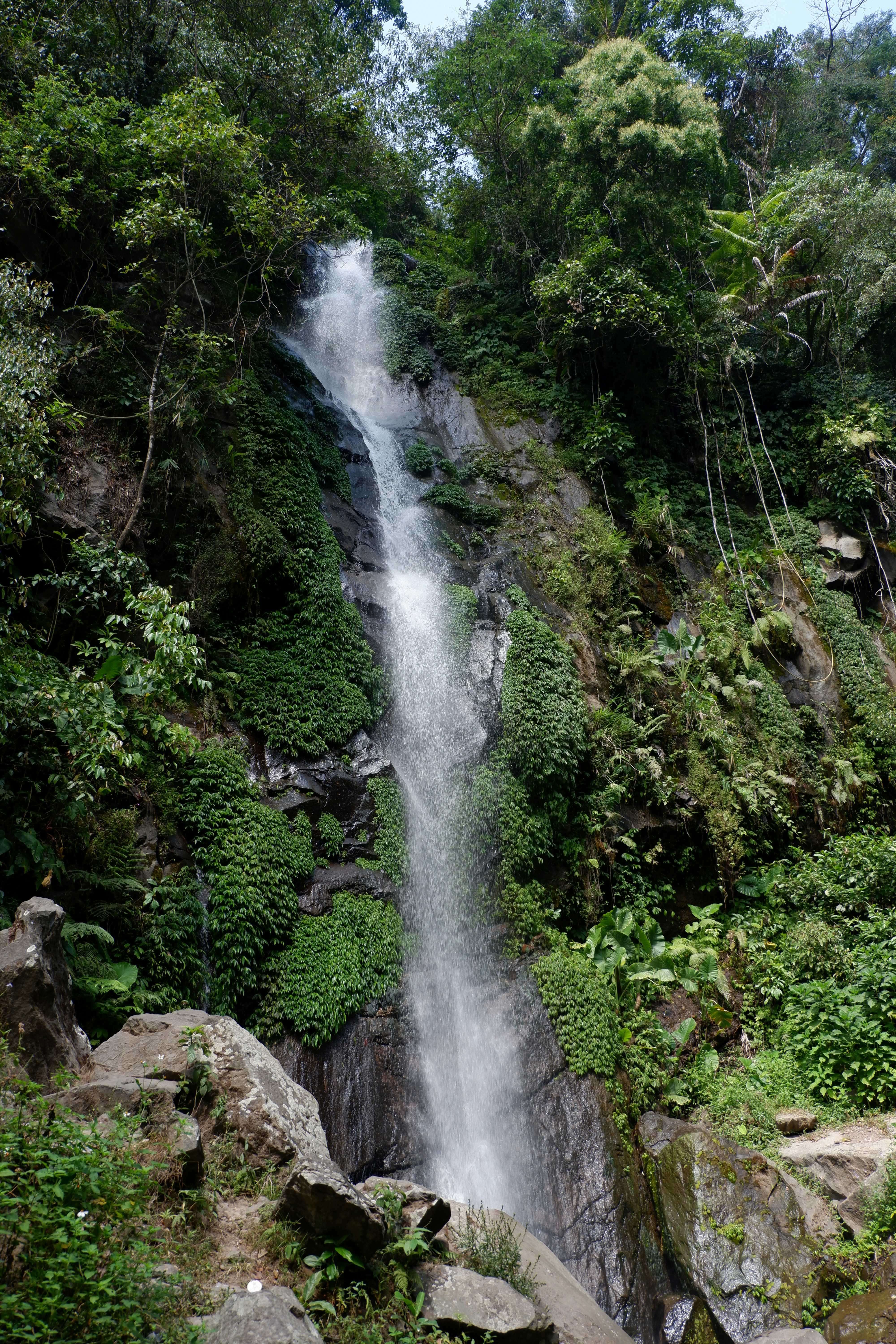 A large waterfall in the middle of a forest