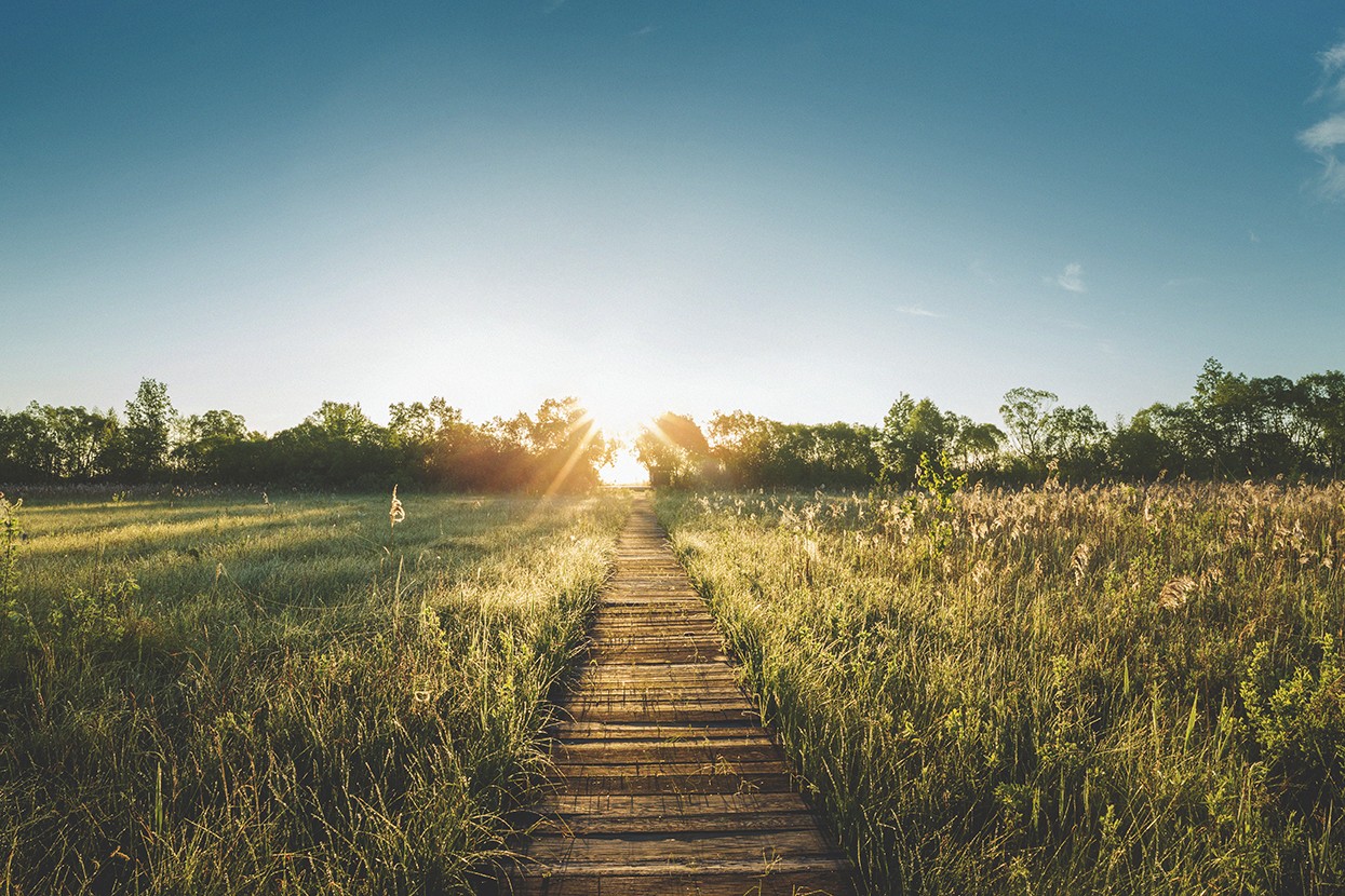 Vlonderpad in de natuur dat loopt naar de zon op de horizon.